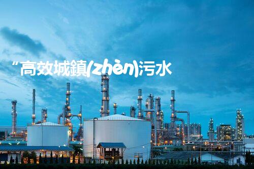 “高效城鎮(zhèn)污水處理流程，守護(hù)碧水藍(lán)天新篇章”